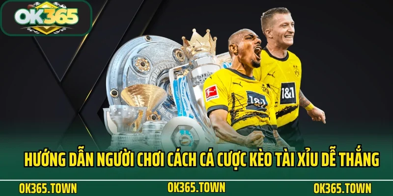 Kèo Tài Xỉu Và Kiến Thức Đặt Cược Hay Ho Tại OK365 3 Hướng dẫn người chơi cách cá cược kèo tài xỉu dễ thắng